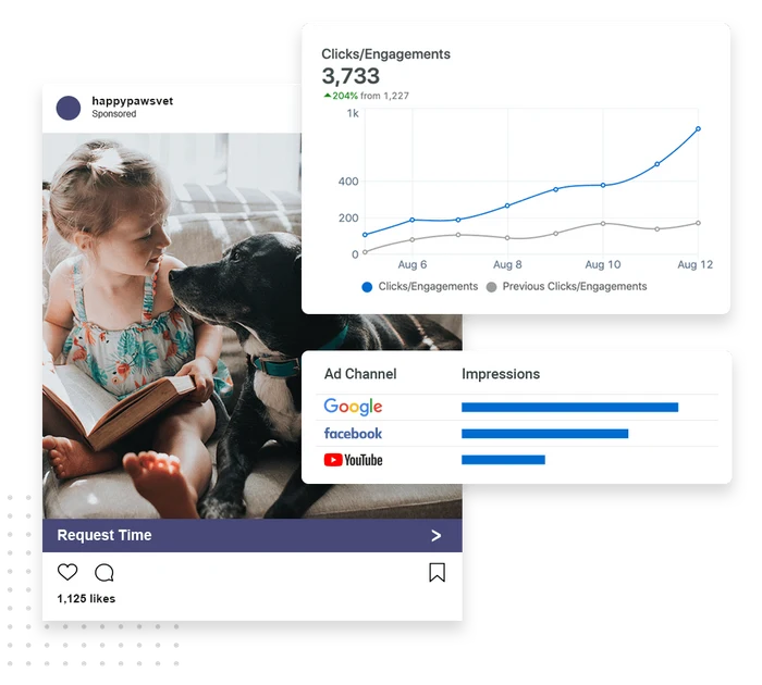 Veterinary advertising example showing ad channel impressions across Google, Facebook, and YouTube